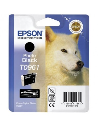 Epson kartuša T0961 črna za R2880 (495 str.)