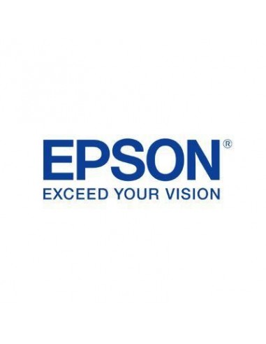 Epson kartuša T0966 Vivid Light-Magenta za R2880 (835 str.)