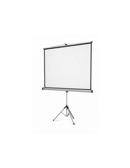 Projekcijsko platno prostostoječe 200x200 cm