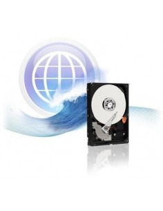 Trdi disk WD Blue 1TB (WD10EZEX)