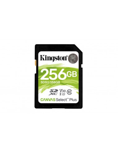 Spominska kartica SDXC 256GB Kingston Canvas Select Plus (SDS2/256GB)