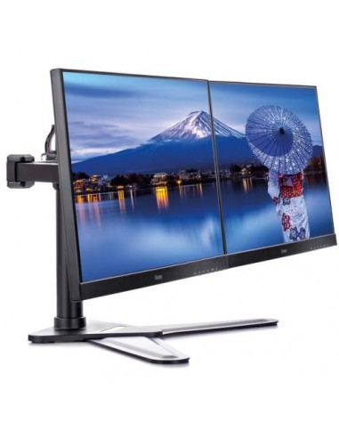 Nosilec za monitor IIYAMA DS1002D-B1