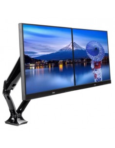 Nosilec za monitor IIYAMA DS3002C-B1