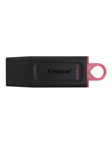 USB disk 256GB Kingston DataTraveler Exodia (DTX/256GB)