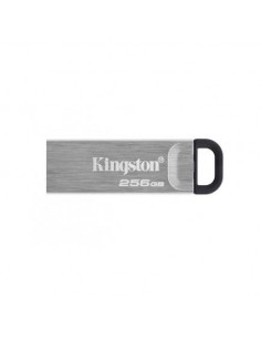 USB disk 256GB Kingston DataTraveler Kyson (DTKN/256GB)