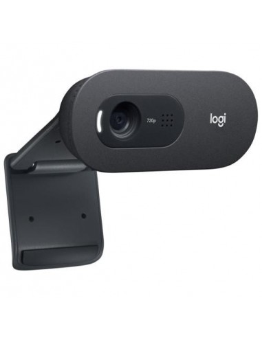 Spletna kamera Logitech C505 (960-001364)