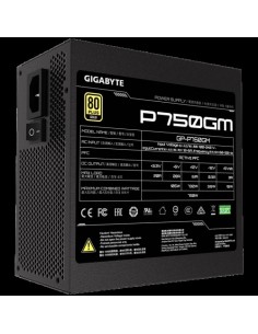Napajalnik Gigabyte 750W P750GM