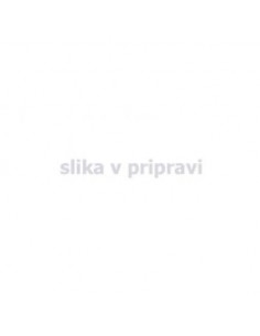 RAM DDR4 2x8GB 2666MHz G.Skill NT (F4-2666C19D-16GNT)