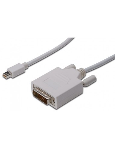 Kabel DisplayPort-Mini DVI M/M 2m