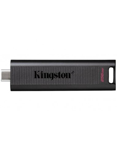 USB disk 256GB Kingston DataTraveler Max (DTMAX/256GB)