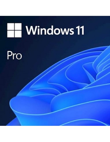 MS Windows 11 Pro DSP 64-Bit Ang (FQC-10528)