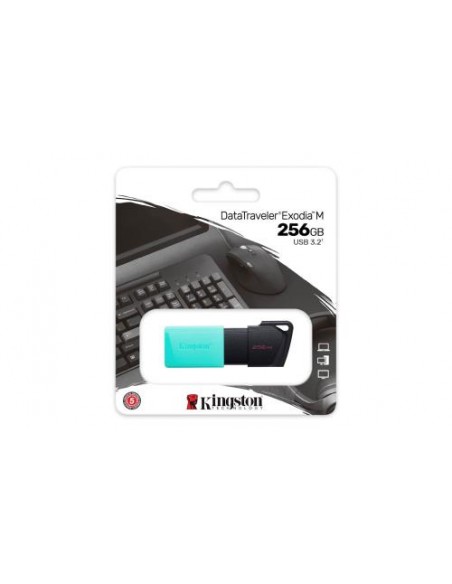 USB disk 256GB Kingston DataTraveler Exodia M (DTXM/256GB)