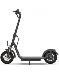 Skiro Element Lowrider Ultra 450W, 10", črn