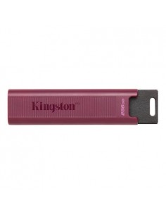 USB disk 256GB Kingston DataTraveler Max (DTMAXA/256GB)