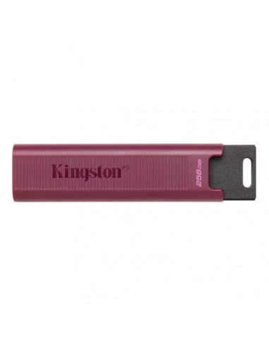 USB disk 256GB Kingston DataTraveler Max (DTMAXA/256GB)