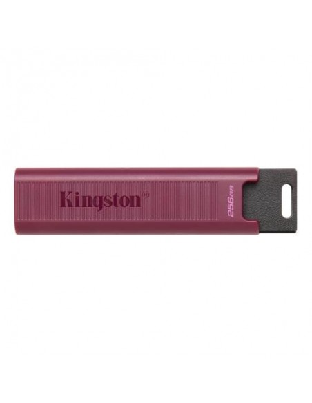 USB disk 256GB Kingston DataTraveler Max (DTMAXA/256GB)