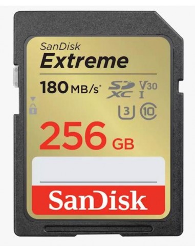 Spominska kartica SDHC 256GB Sandisk Extreme (SDSDXVV-256G-GNCIN)