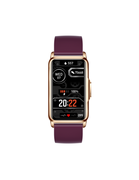 Pametna zapestnica Moye KRONOS FIT BUDDY SMART BAND – PURPLE