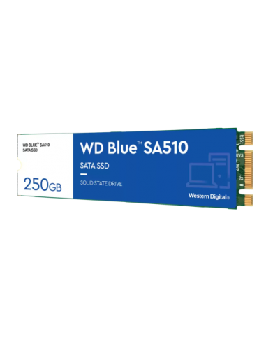 SSD WD Blue (WDS250G3B0B) M.2 250GB, 555/440 MB/s, SATA3
