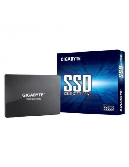 SSD Gigabyte 256GB (GP-GSTFS31256GTND)