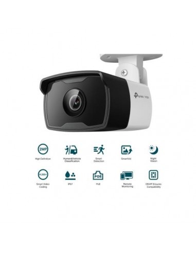 Nadzorna kamera TP-LINK VIGI C320I, 6mm, 2MP