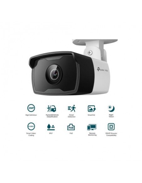 Nadzorna kamera TP-LINK VIGI C320I, 6mm