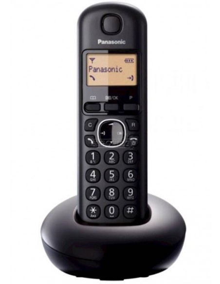 Telefon Panasonic KX-TG1611FXH
