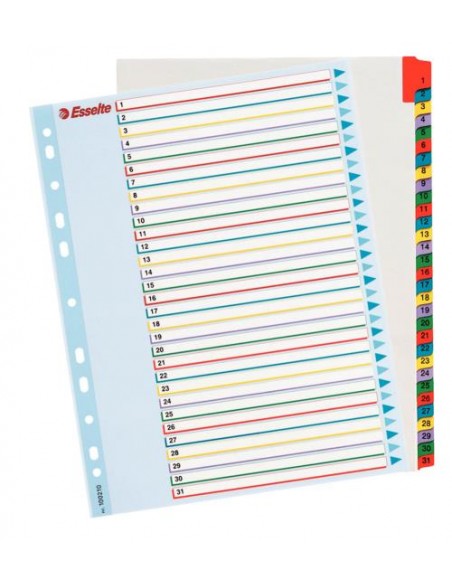 Pregradni kartonEsselte Piši-briši, A4, 1-31