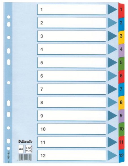 Pregradni karton Esselte PP, barvni, 1-12