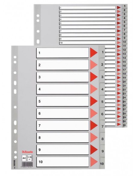 Pregradni karton Esselte PP, siv, 1-6