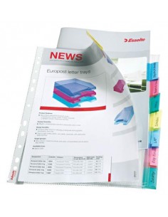 Mapa pregradna Esselte A4, PP, 12-delna