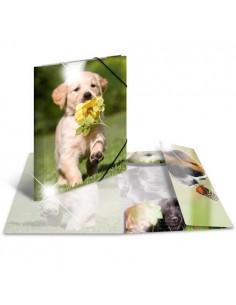 Mapa s klapo in elastiko Herma Glossy A3