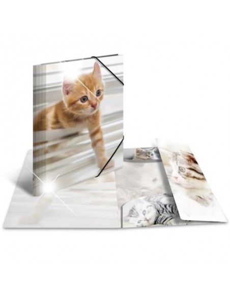 Mapa s klapo in elastiko Herma Glossy A4