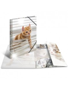 Mapa s klapo in elastiko Herma Glossy A3