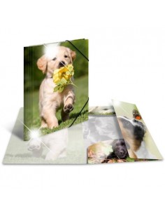 Mapa s klapo in elastiko Herma Glossy A4