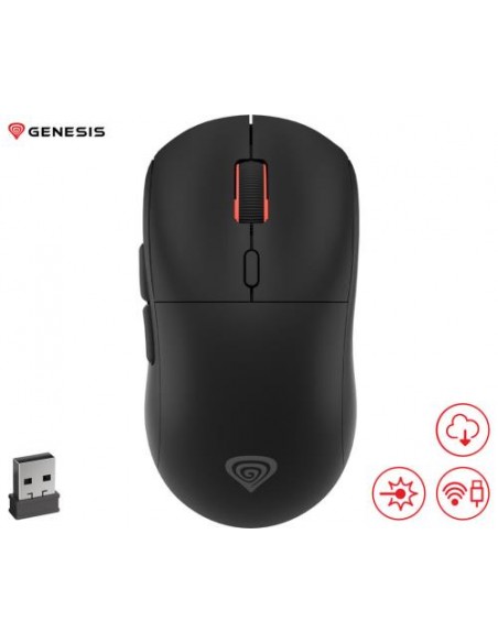 Miška Genesis ZIRCON XIII