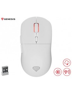Miška Genesis ZIRCON XIII