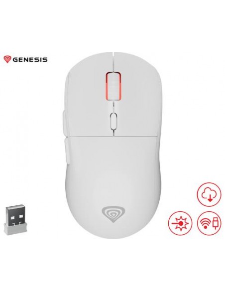 Miška Genesis ZIRCON XIII