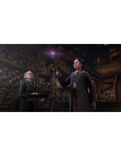 Hogwarts Legacy (Nintendo Switch)