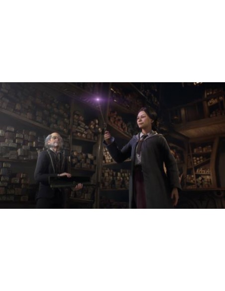 Hogwarts Legacy (Nintendo Switch)