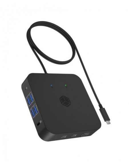 Priklopna postaja Icy-Box IB-DK4090-C