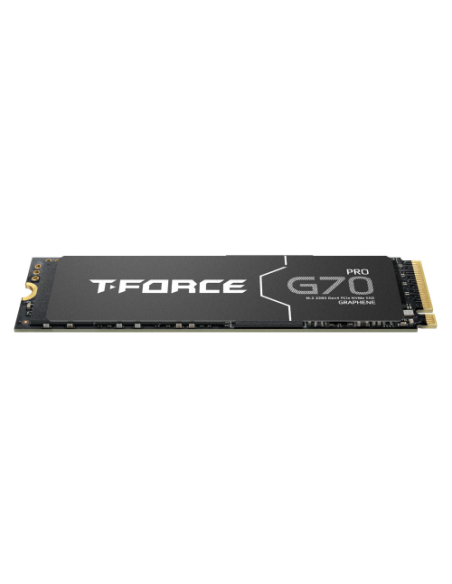 SSD Teamgroup G70 PRO 2TB (TM8FFH002T0C129)