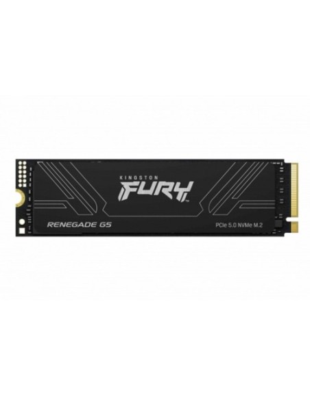 SSD Kingston FURY Renegade G5 4TB (SFYR2S/4T0)
