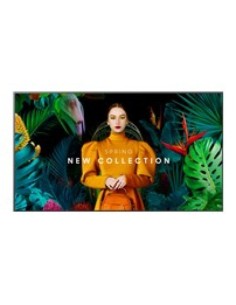 Monitor Samsung LH55QBCEBGCXEN