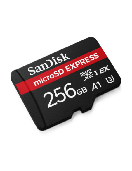 Spominska kartica Micro SDXC 256GB SanDisk Express (SDSQXFN-256G-GN4NN)