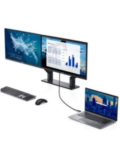 Monitor Dell P2421DC (210-AVMG)