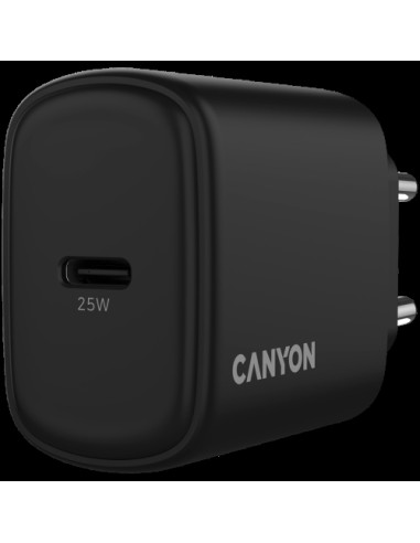 Polnilec za telefon Canyon OnCharge 250 (CNE-CHA250-11), USB-C, 25W