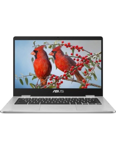 Prenosnik ASUS ChromeBook C424MA-BV0305