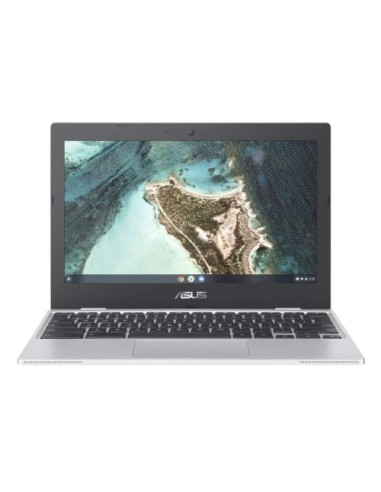 Prenosnik ASUS Chromebook C423NA-EC0376