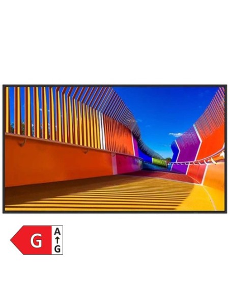 Informacijski zaslon Sharp MultiSync PN-E509 (60006182)